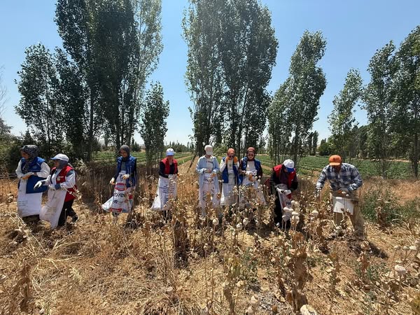 Afyonkarahisar'da Gençlerin Hasat ve Sanat Buluşması