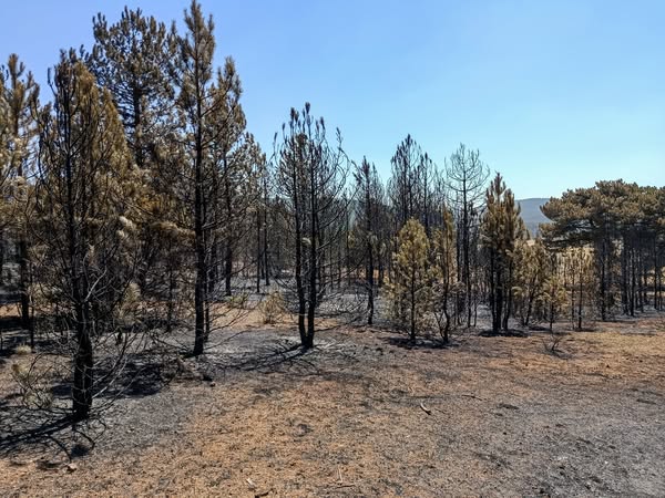 Afyonkarahisar'da Yangın Bölgesinde Soğutma Çalışmaları Sürüyor