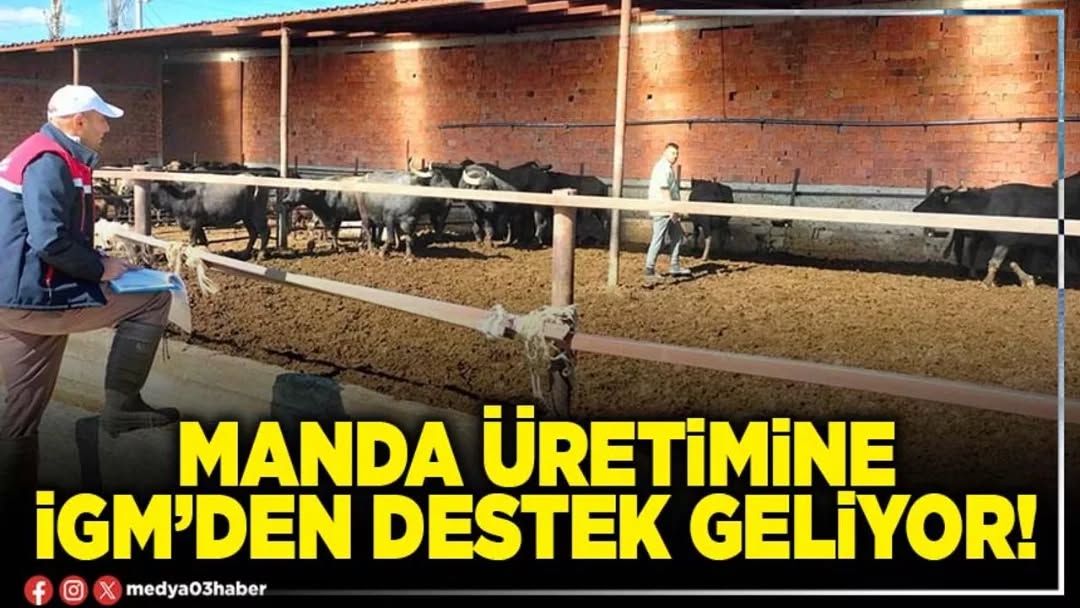 Afyonkarahisar İl Genel Meclisi, Mehmet Siper Başkanlığında Toplanacak