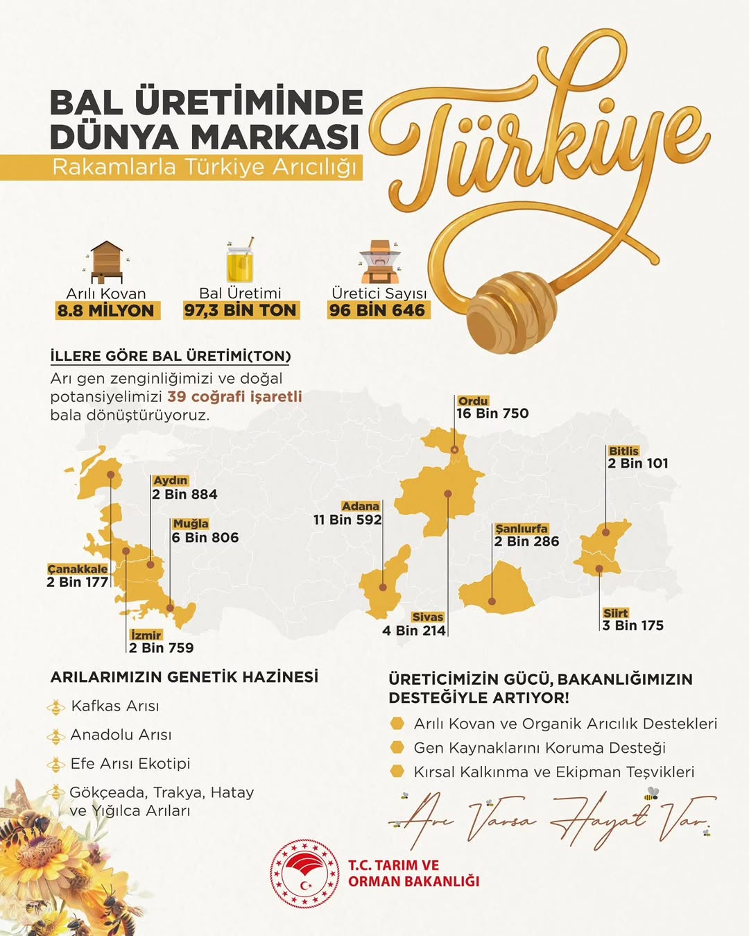 Arı Gen Zenginliğiyle Sofralara Şifa Taşıyoruz