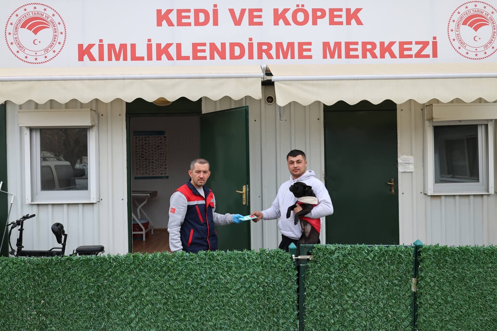 Kedi ve Köpeklerde Kimliklendirme İşlemleri Devam Ediyor: Son Başvuru 31 Aralık 2025