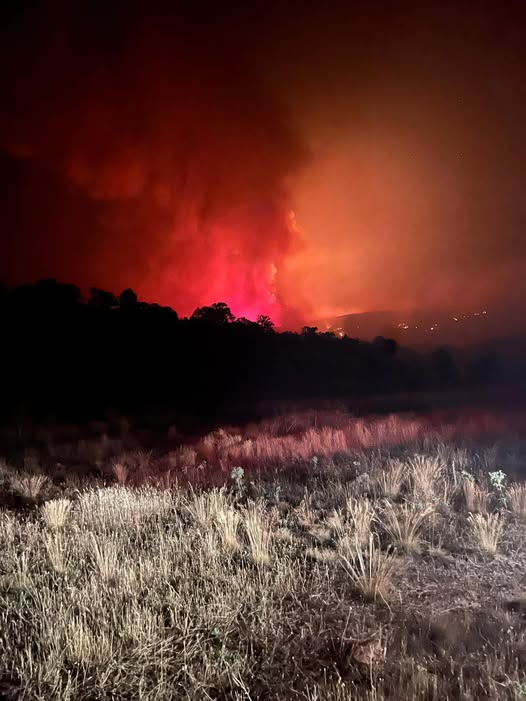 Afyonkarahisar'da Orman Yangını: Acı Kayıplar